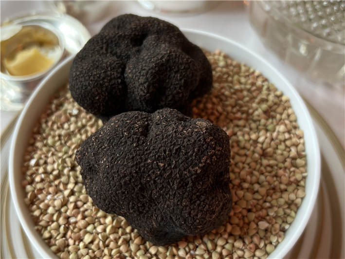 black truffles displayed